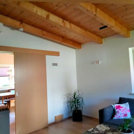Ferienwohnung Trixi Hollersbach im Pinzgau Exterior photo